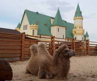 Зоопарк 12 месяцев - достопримечательность Киевской области